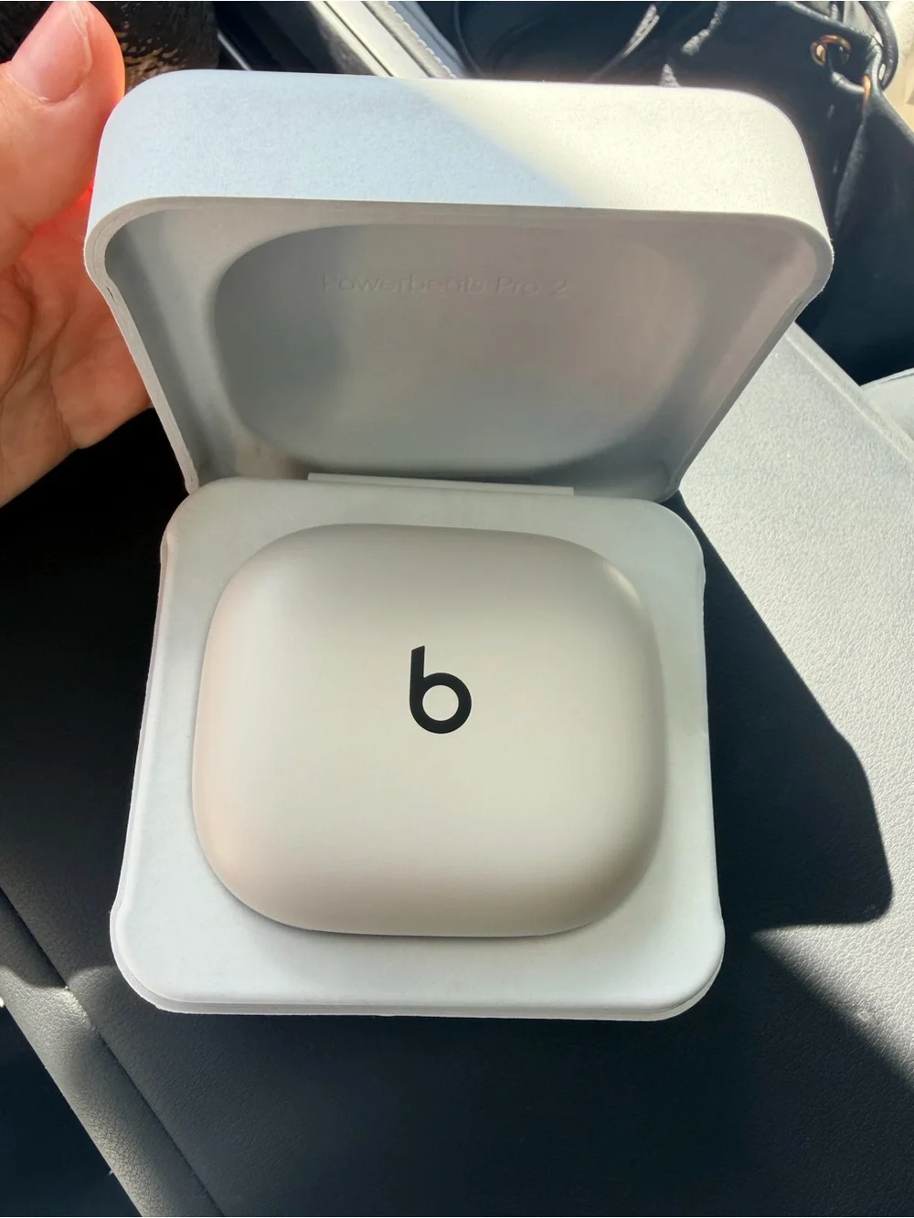 Beats Powerbeats Pro 2 Wireless Earbuds - Sand